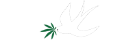 XIAOWEST LLC